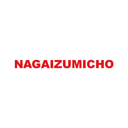 NAGAIZUMICHO 8