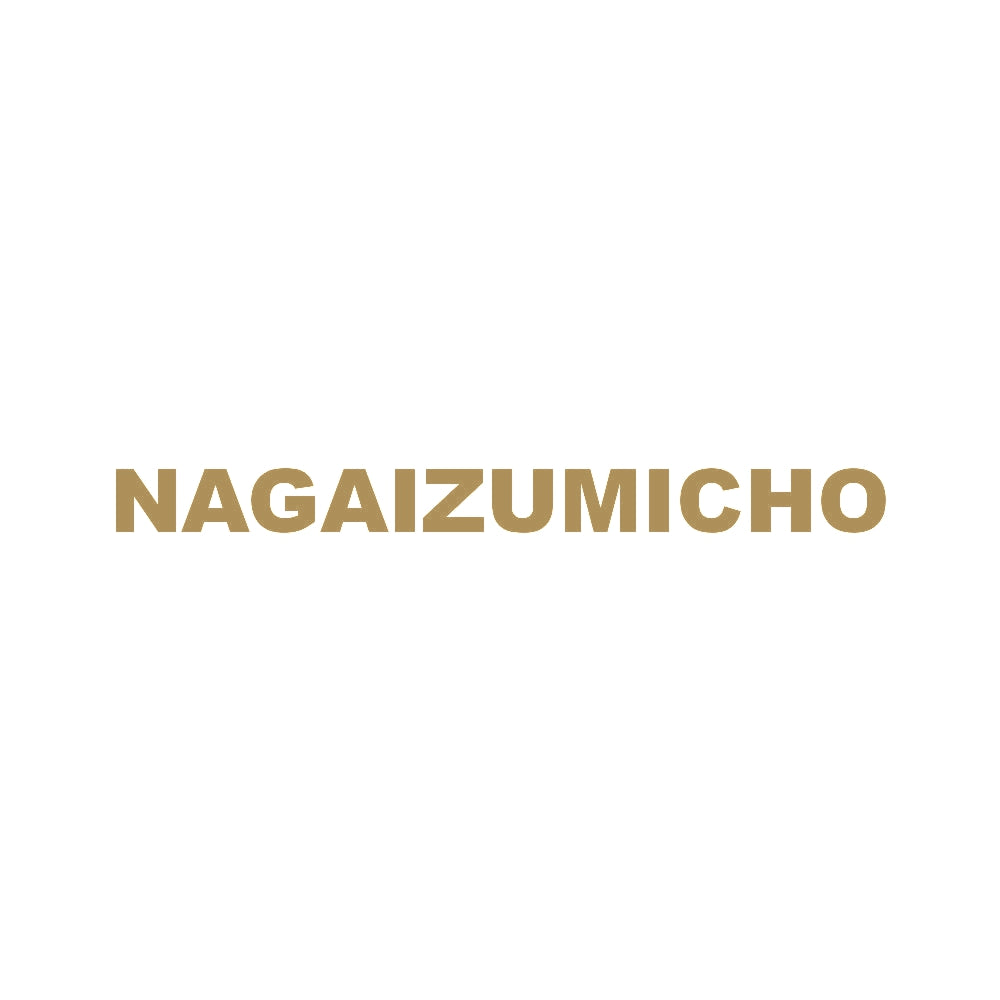 NAGAIZUMICHO 9