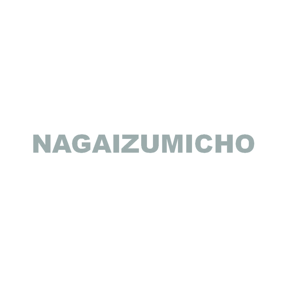 NAGAIZUMICHO 10