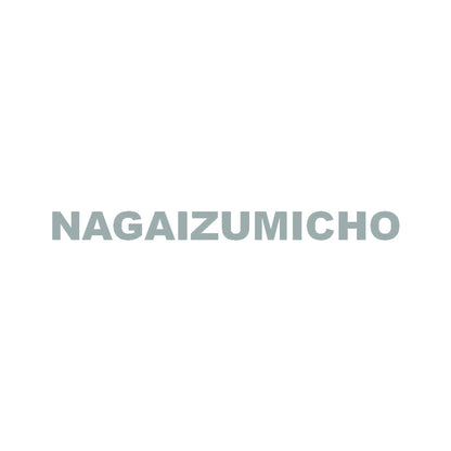 NAGAIZUMICHO 10