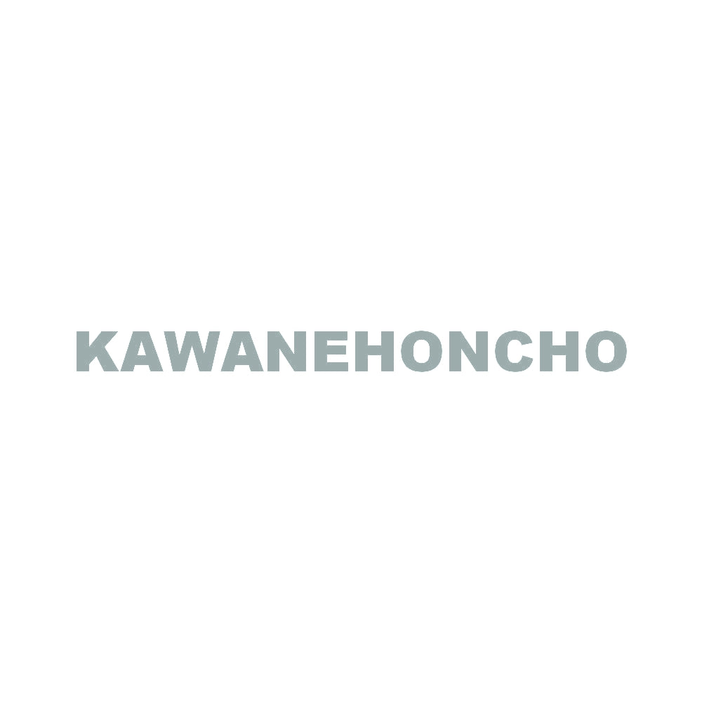 KAWANEHONCHO 10