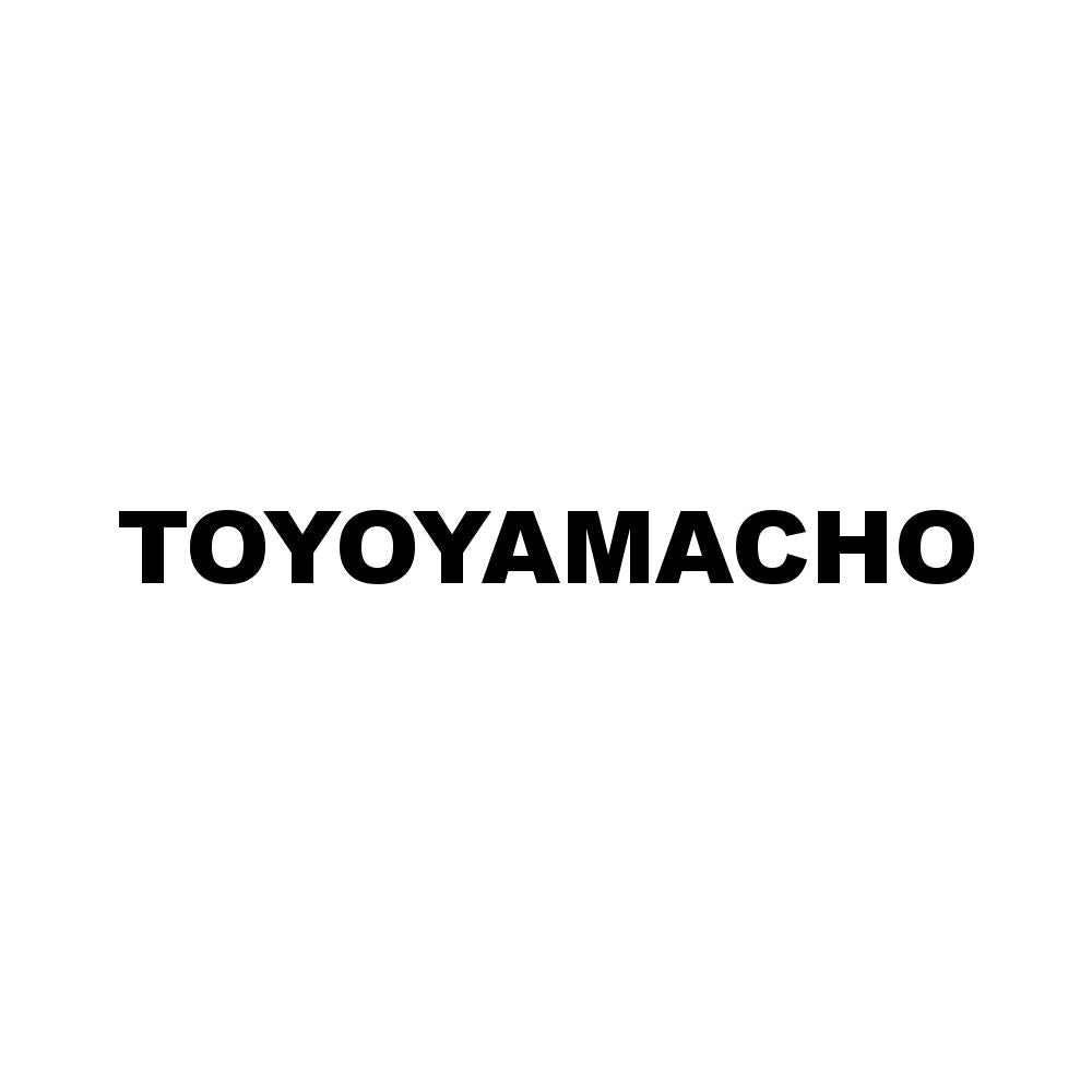 TOYOYAMACHO