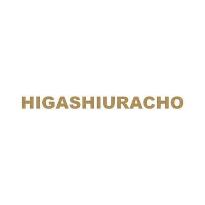 HIGASHIURACHO 9