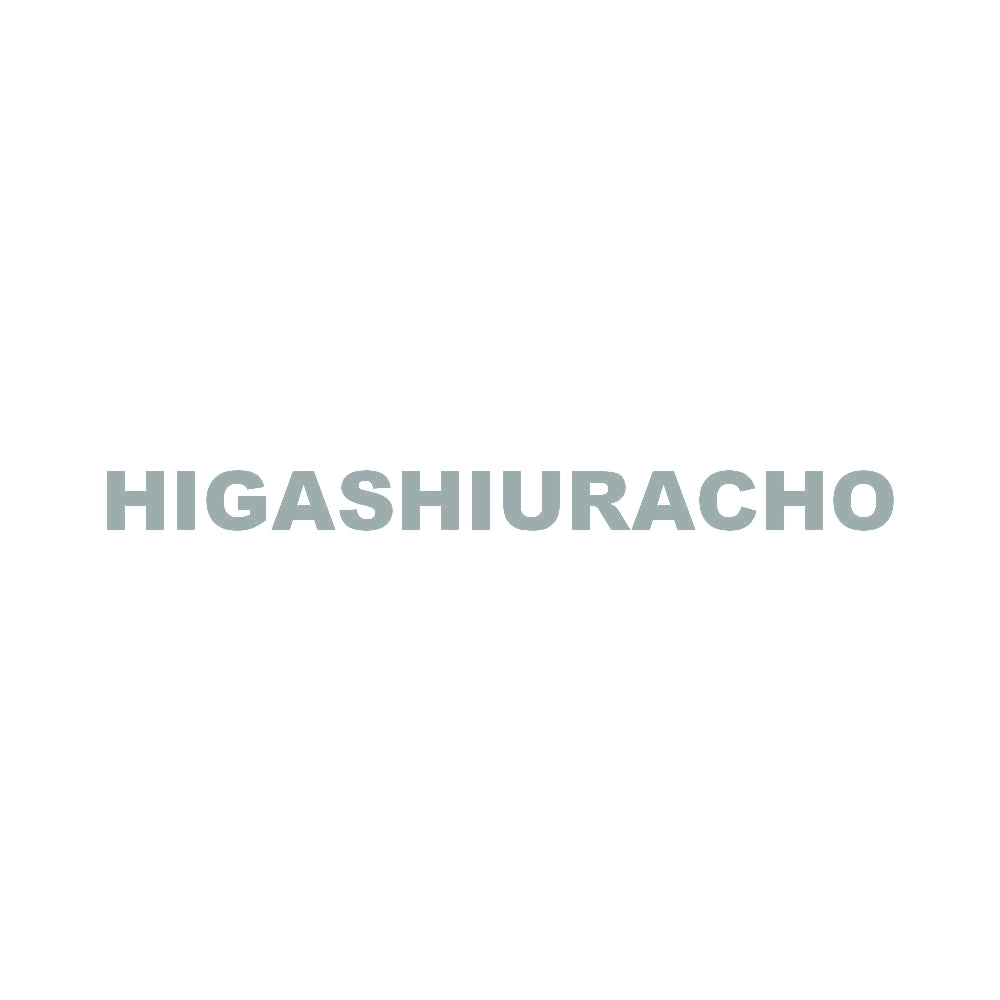 HIGASHIURACHO 10