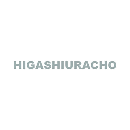 HIGASHIURACHO 10