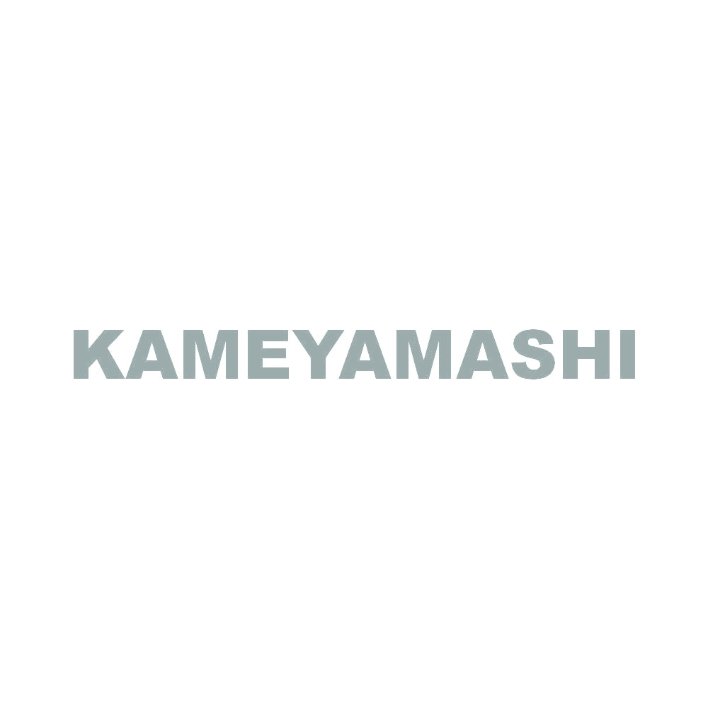 KAMEYAMASHI 10