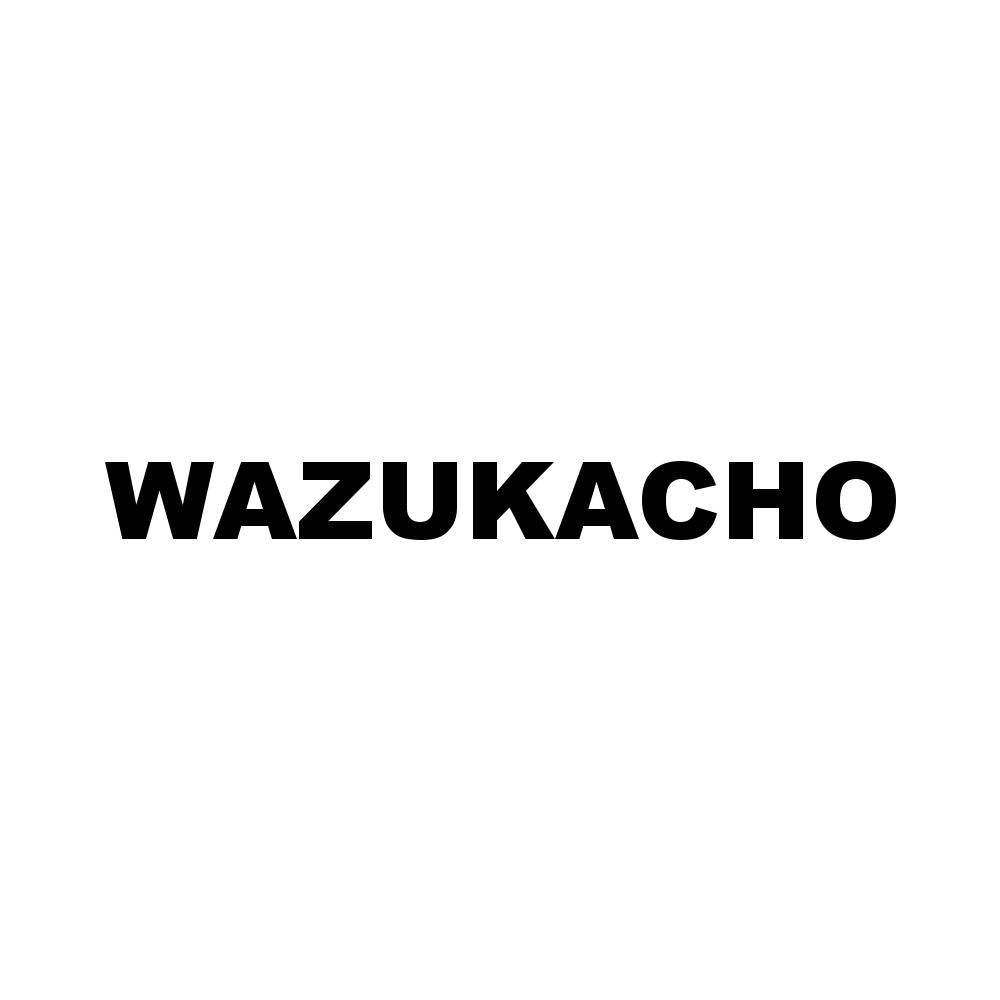 WAZUKACHO