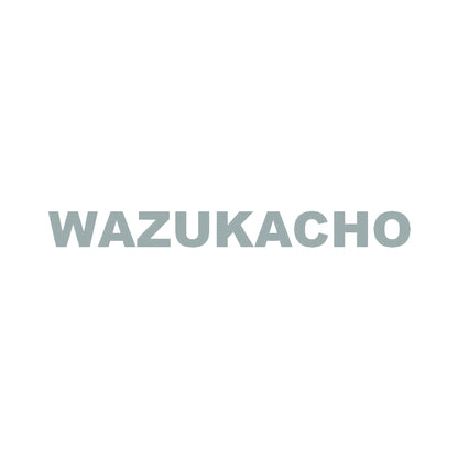 WAZUKACHO 10