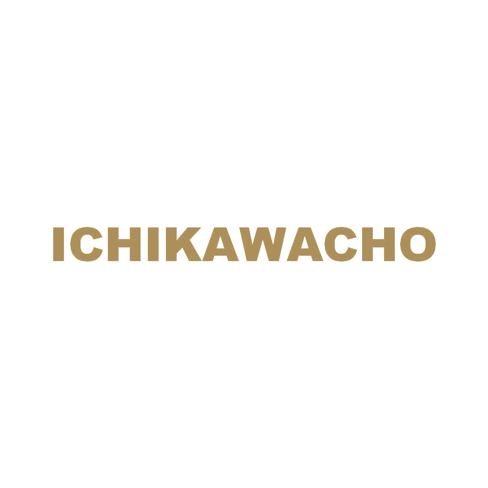 ICHIKAWACHO 9