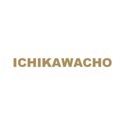 ICHIKAWACHO 9