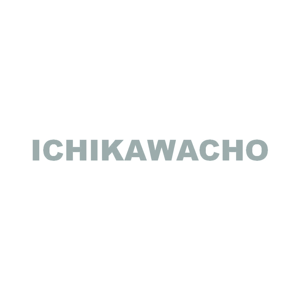 ICHIKAWACHO 10