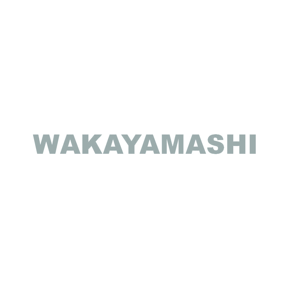WAKAYAMASHI 10