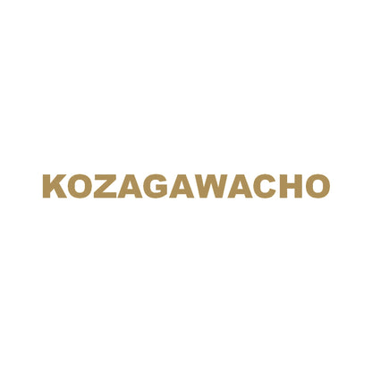 KOZAGAWACHO 9