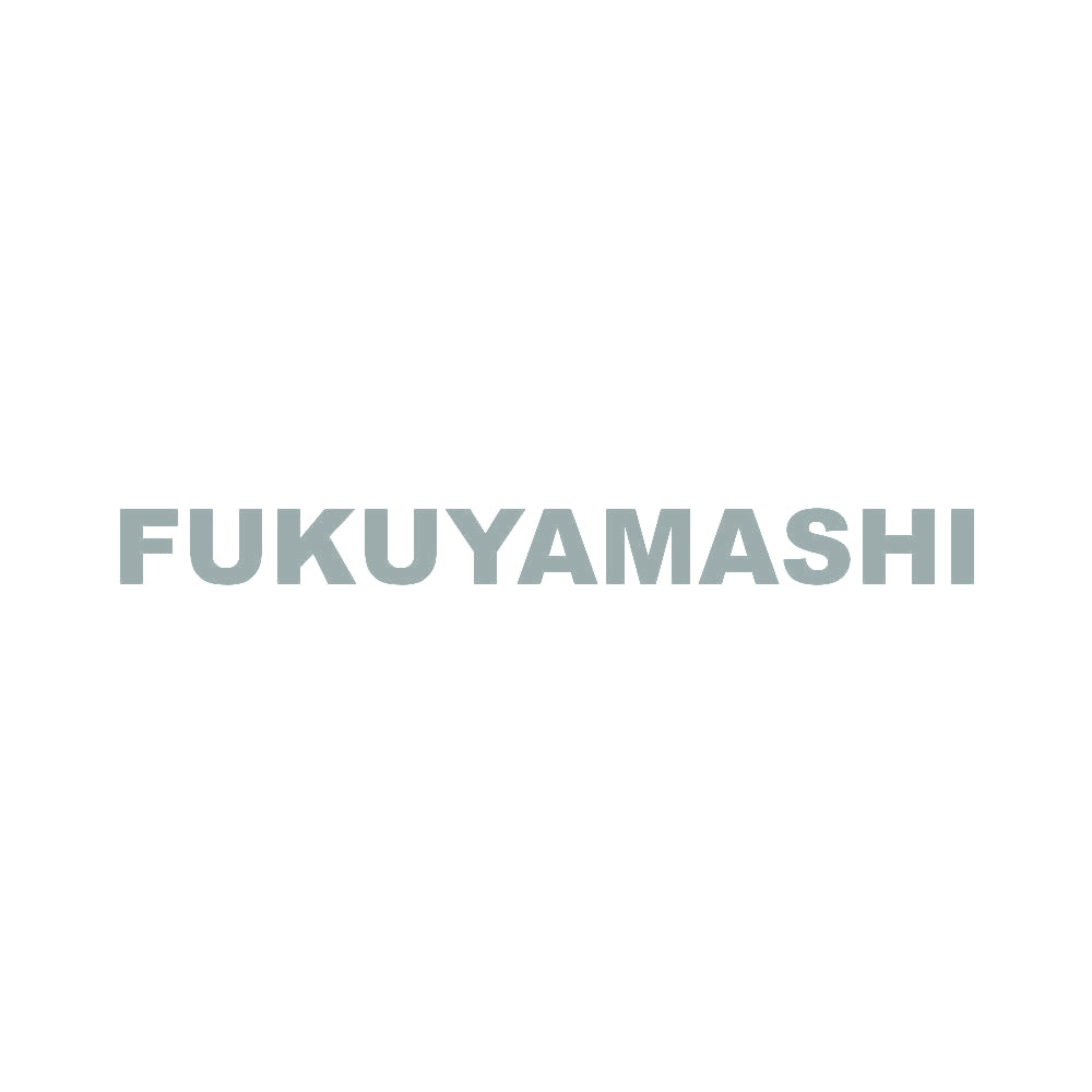 FUKUYAMASHI 10