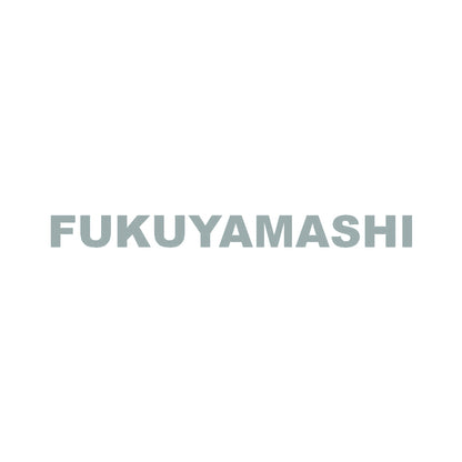 FUKUYAMASHI 10