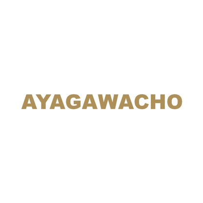 AYAGAWACHO 9