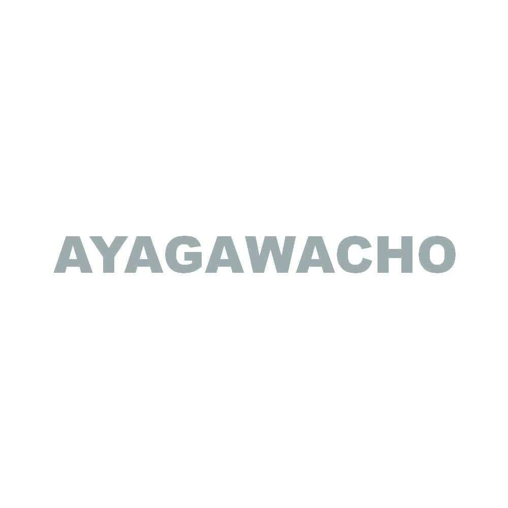 AYAGAWACHO 10