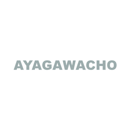AYAGAWACHO 10