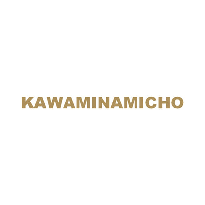 KAWAMINAMICHO 9