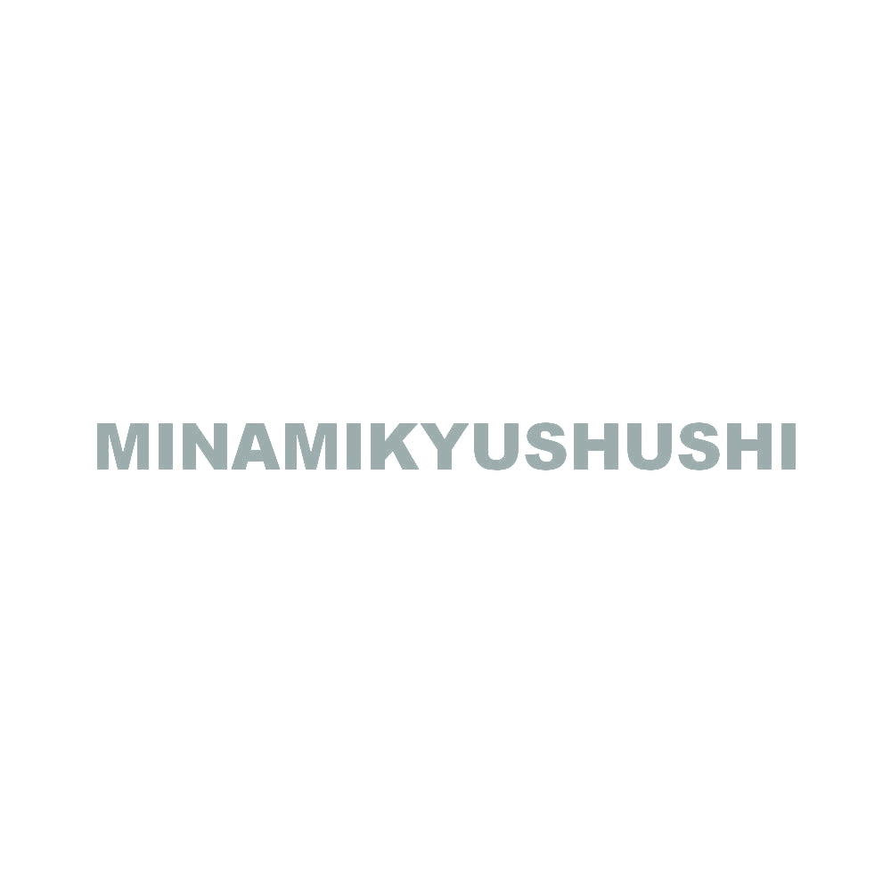 MINAMIKYUSHUSHI 10