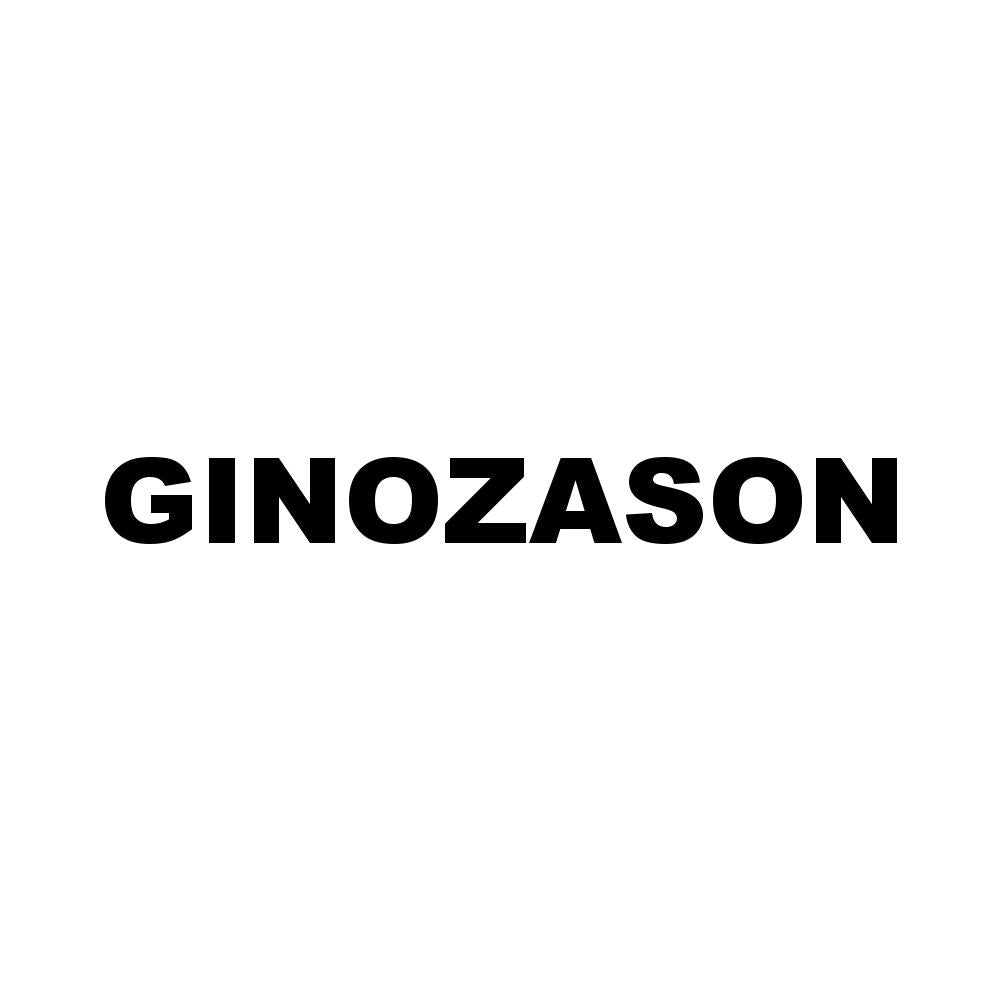 GINOZASON