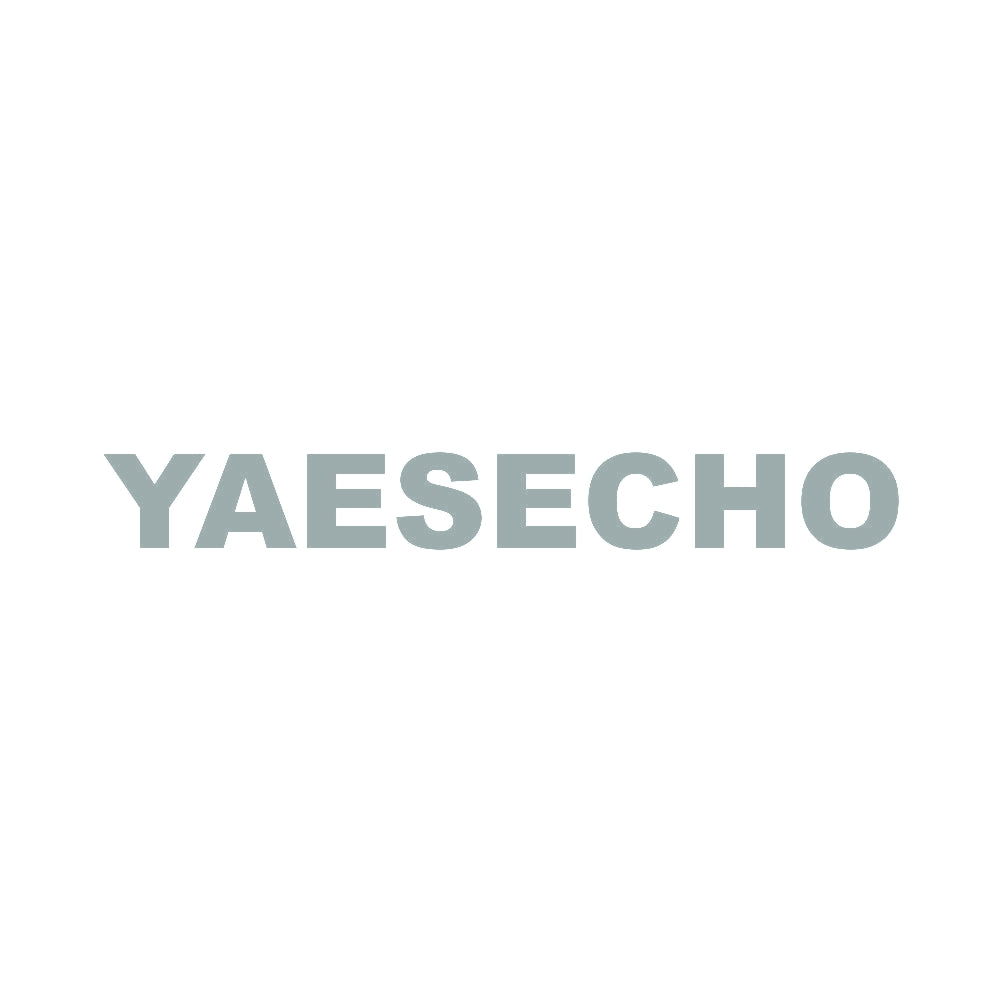 YAESECHO 10