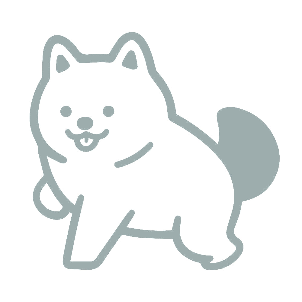 犬 (B) 10