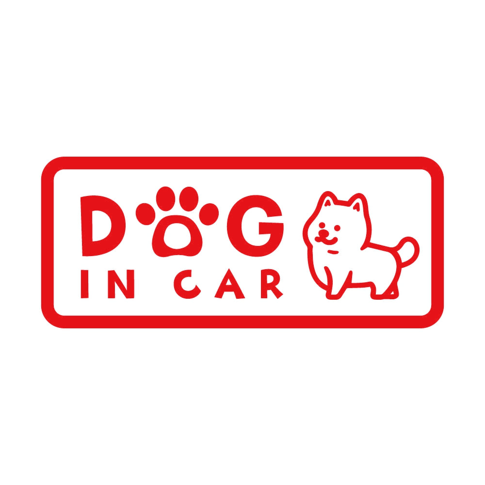 DOG IN CAR (A) 8