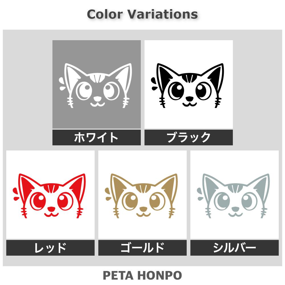 ひょっこり猫 (D) 2