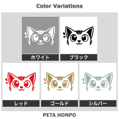 ひょっこり猫 (D) 2