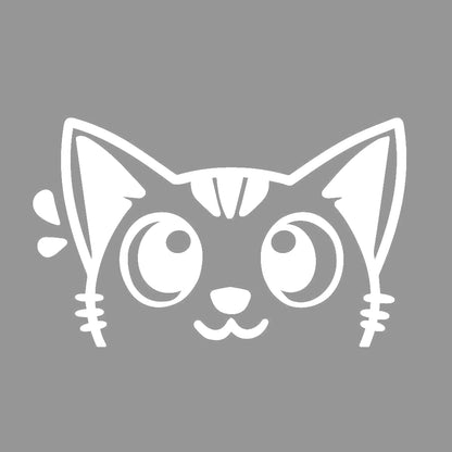 ひょっこり猫 (D) 7