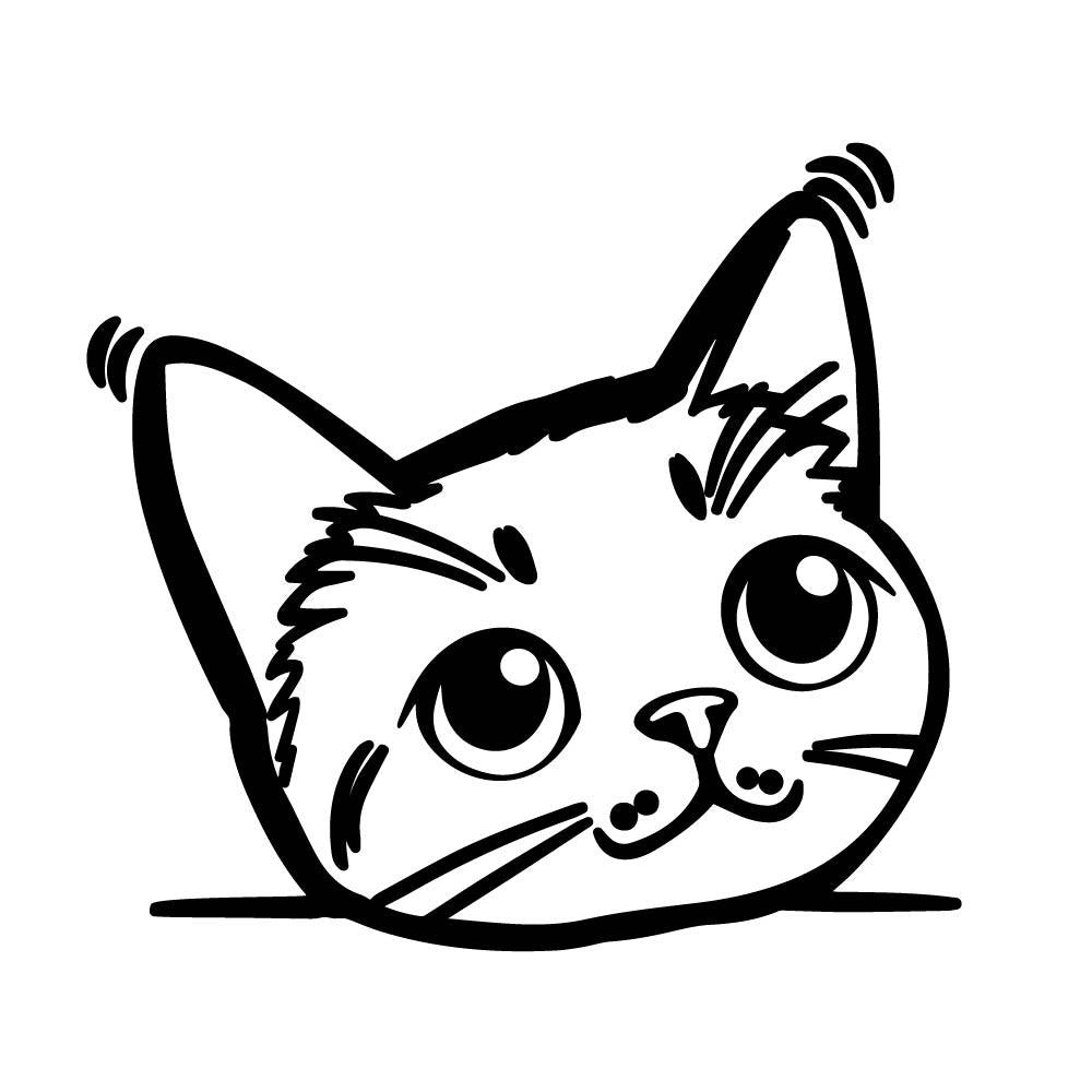ひょっこり猫 (E)