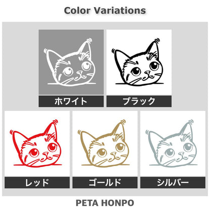 ひょっこり猫 (E) 2