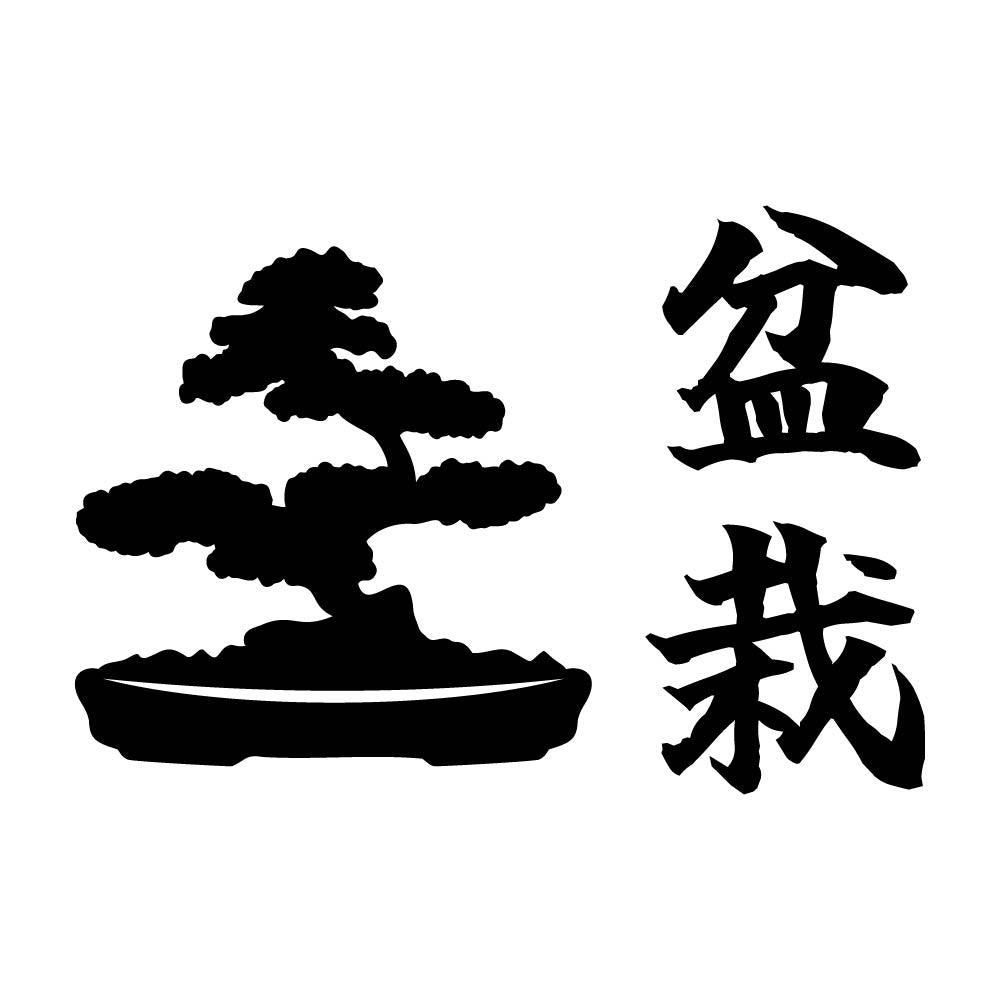 盆栽 (B)