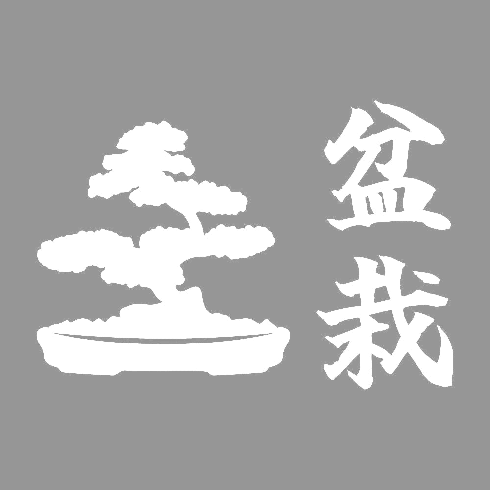 盆栽 (B) 7