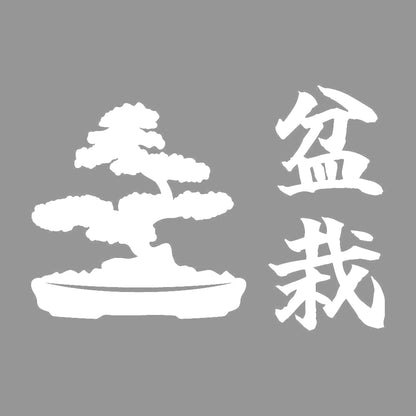 盆栽 (B) 7
