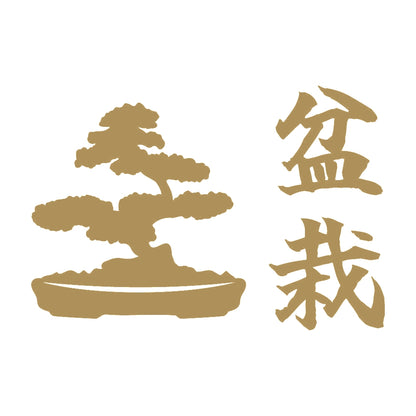 盆栽 (B) 9