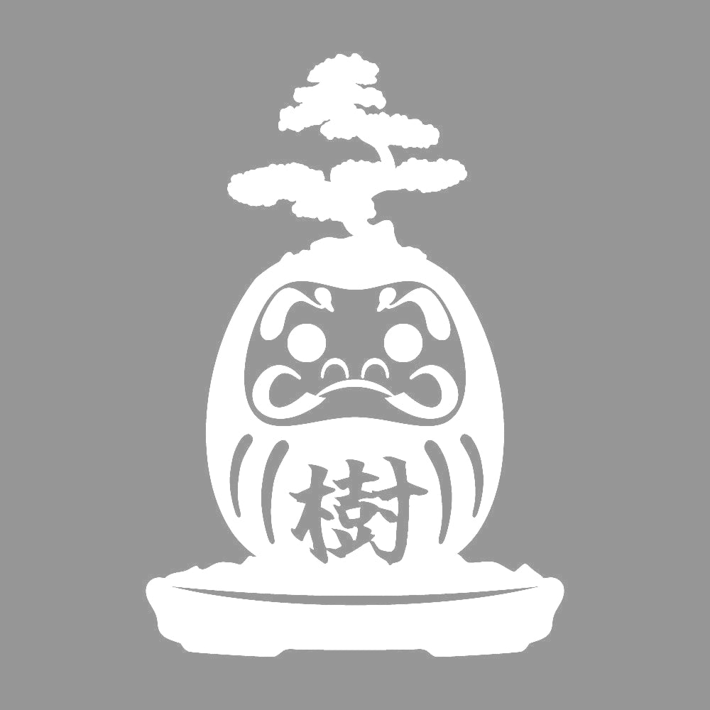 盆栽ダルマ 7