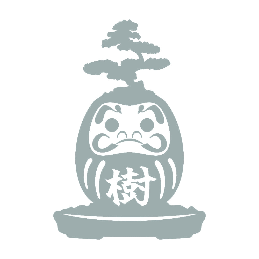 盆栽ダルマ 10