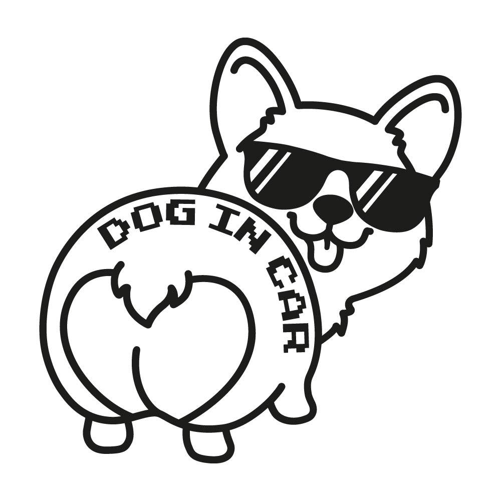 DOG IN CAR (B)