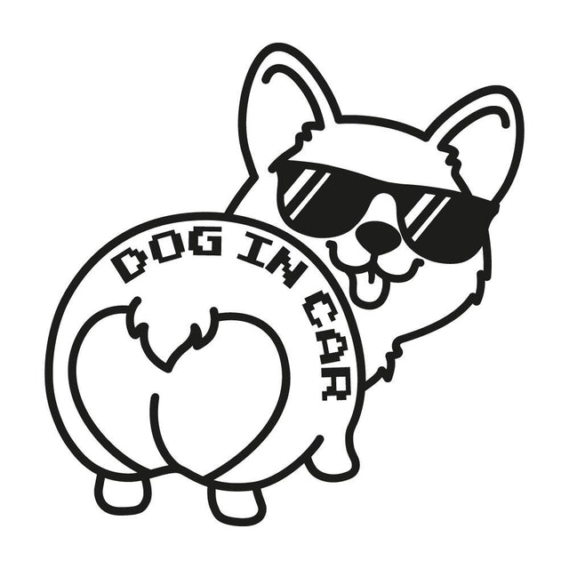 DOG IN CAR (B)
