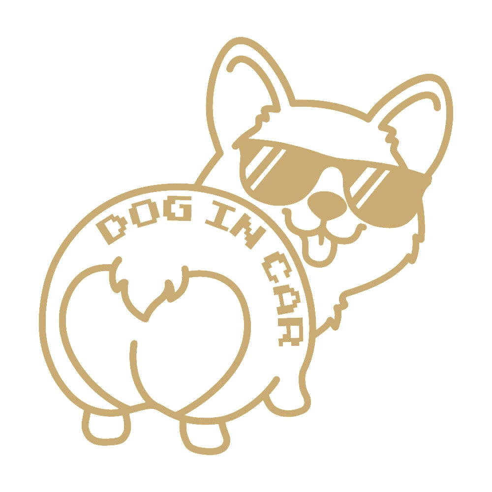 DOG IN CAR (B) 9