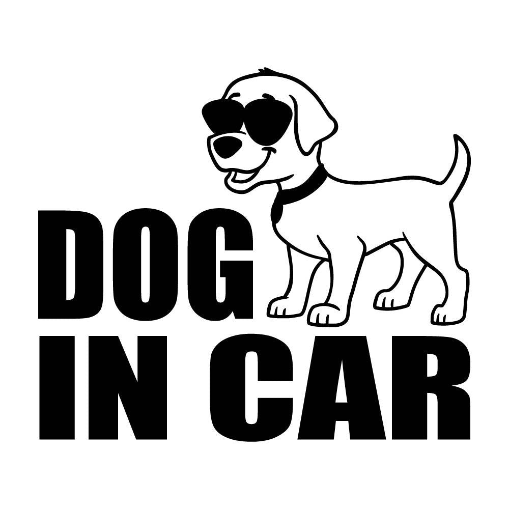 DOG IN CAR (C)