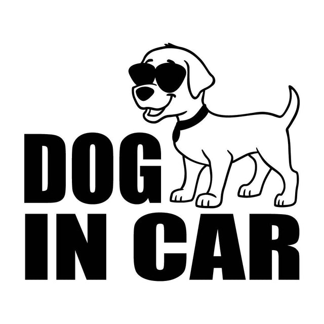 DOG IN CAR (C)