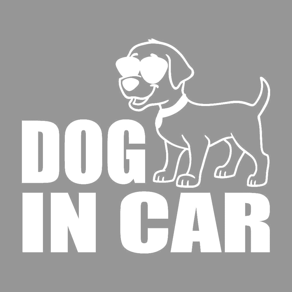 DOG IN CAR (C) 7