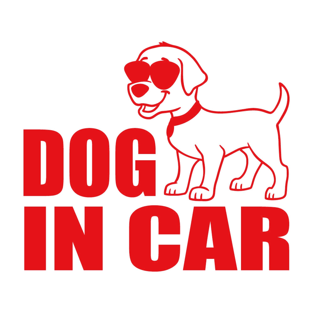 DOG IN CAR (C) 8
