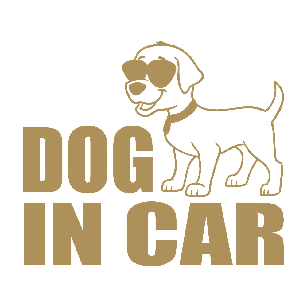 DOG IN CAR (C) 9