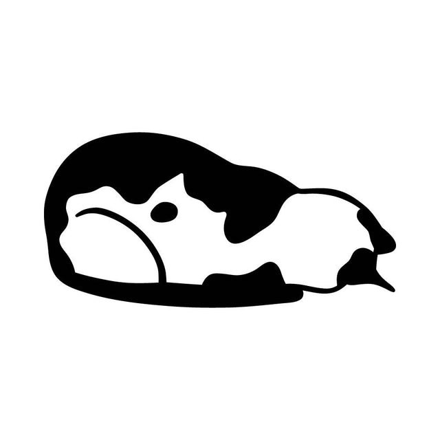 うずくまるネコ