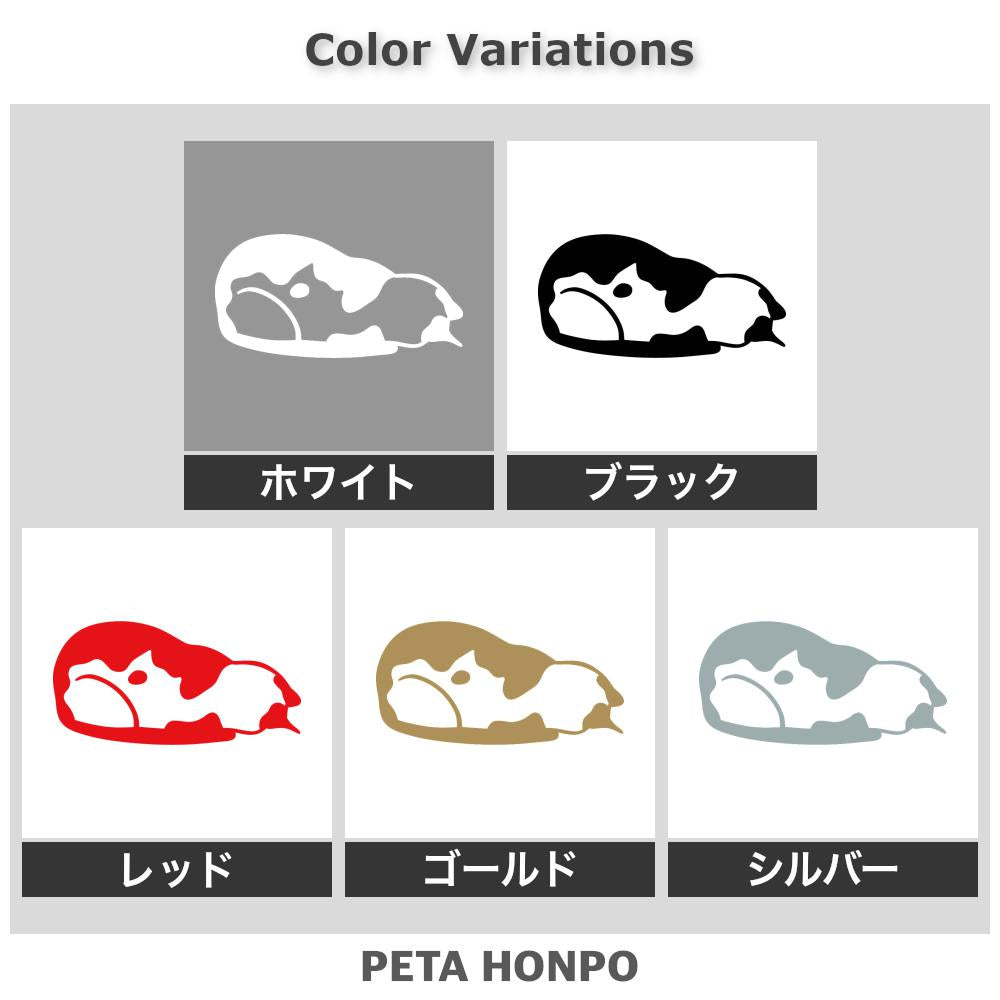 うずくまるネコ 2