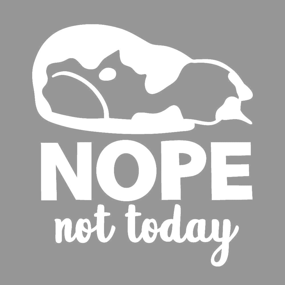 今日はダメなネコ NOPE not today 7